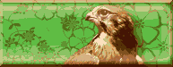 Логотип Falco Software Company